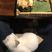 So sweet and friendly at Mood Food Energy Cafe in Yangshuo