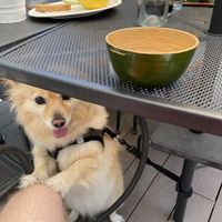   at Casa Macro in Monterrey