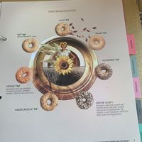   at Bagels & Beans - Statenkwartier in The Hague