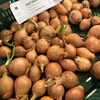 onions  at Naturkostladen Sonnenblume in Ilmenau