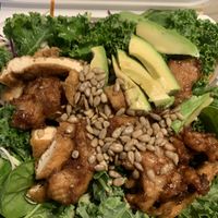   at Go Vegan in Antioch