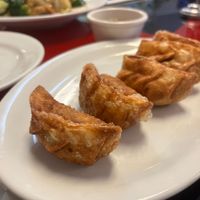 Pot stickers  at Go Vegan in Antioch