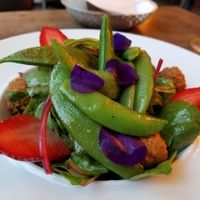 butterfly kisses at Elle n' Belle in Zurich