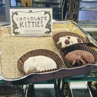 Chocolate kittens at Mama Ganache in San Luis Obispo