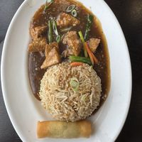 Lunch Special - Mixed Veggies with Tofu, Fried Rice and Spring Roll - Vegan  at Burlington Hakka & Momo Hub in Burlington
