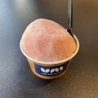 Blood orange gelato with mochia  at Gelateria Uni in Sapporo