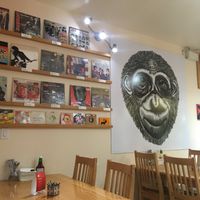 .... more records at Bonobo's Foods in Thunder Bay