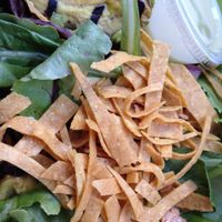 Grilled avocado plate- summer fun! at Native Foods - Conn Ave in Washington