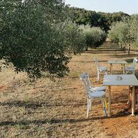 Their "garden" at Tipico in Rovinj