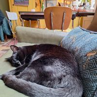 Heerlijk relaxt. at Soepp in Alkmaar