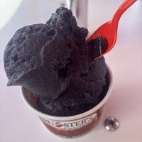 Grape frozen ice   at Bruster's Real Ice Cream  in Williamsport