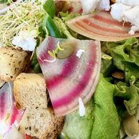 Vegan Salad.   at Grey's Diner & Community Kitchen in Charlotte