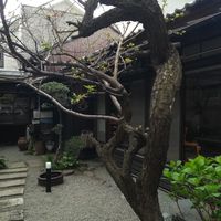 tranquil setting within a busy (touristy) town  at Vegetable Cafe Sorafune in Kamakura