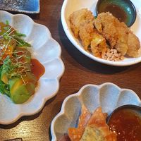 Wantans, Avocado sashimi and fried spring roles at An Vegan Restaurant in Karlsruhe