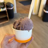 Vegan Blueberry Icecream, small at The Saco Scoop in Saco