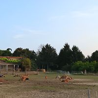 Panorama at Gasía Agricicchetteria in Veneto