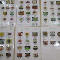 Pictorial menu at Purest canting at PUREST素食餐厅 (Purest Canting) in Vientiane