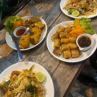 Pad Thai, fish cakes and fried spring rolls  at May Kaidee Chiang Mai in Chiang Mai