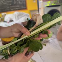   at May Kaidee Chiang Mai in Chiang Mai