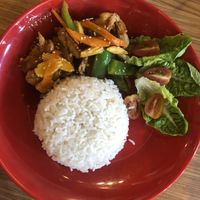 Sweet & Sour Chicken Rice at Gold Lotus Vegetarian Restaurant in Penang