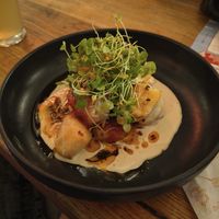 Pacific Taro at Matso's Sunshine Coast Brewery in Eumundi
