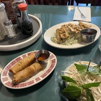 Rolls and Tofu Salad  at Pho Saigon in Springfield