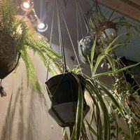   at BioToko in Zutphen