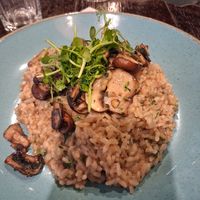 Vegan mushroom risotto at Marco Polo in Newcastle Upon Tyne