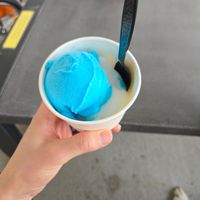 Sorbet at Scoop Shack in Indianapolis