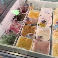 All the Vegan Options! at The Ice Cream Parlour in Dawlish
