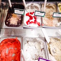 A few of the vegan ice cream choices at Iceberg at Iceberg - Ibn Gabirol in Tel Aviv