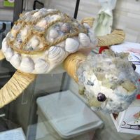 counter at Vegan Art in Naples