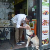 Ricky (sp?) the puppy. at Vegan Art in Naples