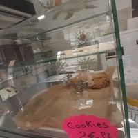  at Vegan Art in Naples