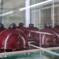  at Vegan Art in Naples