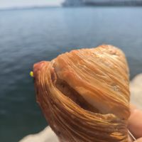 Vegan sfogliatella at Vegan Art in Naples