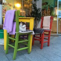   at Mahatma Cafe in Istanbul