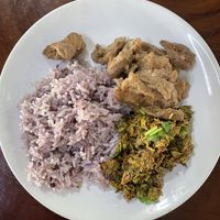   at Tamachat in Chiang Rai