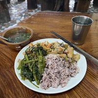   at Tamachat in Chiang Rai