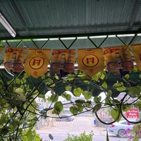 Maggi 🔥  at Tamachat in Chiang Rai