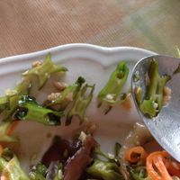 X-shaped veggie has a bite to it! at Tamachat in Chiang Rai