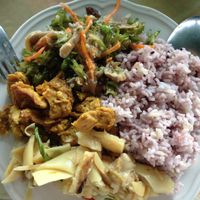Bamboo, curry, and creen veggies at Tamachat in Chiang Rai