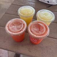   at JAJAJANA in Progreso