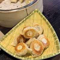 Tofu pot stickers  at Dumpling World in Pearland