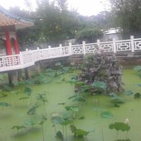 Gardens 3 at Wun Chuen Vegetarian Centre in New Territories