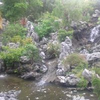 Gardens 4 at Wun Chuen Vegetarian Centre in New Territories