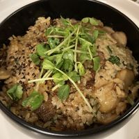 Mushroom risotto at Mianto 艾果豐 in Taipei