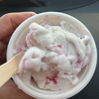 Vegan berry swirl at Nature's Organic Ice Cream - Campbell  in Campbell