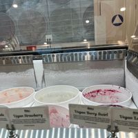 Vegan offerings at Nature's Organic Ice Cream - Campbell  in Campbell