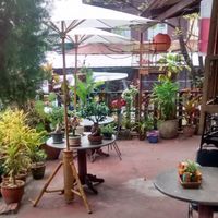 plants - birdcages at Same Same Restaurant and Guesthouse in Luang Prabang